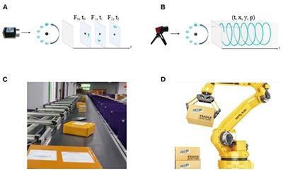 NeuroVI-based new datasets and space attention network for the recognition and falling detection of delivery packages